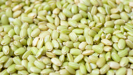 有機栽培の玄米（緑米）、日本産