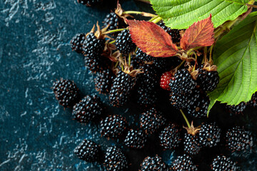 Fresh blackberries on dark blue vintage background.
