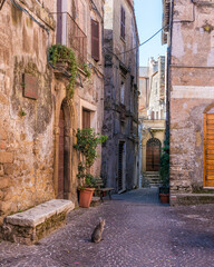 Fototapeta na wymiar San Gregorio da Sassola, beautiful village in the Province of Rome, Lazio, Italy.