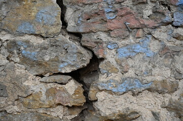 bark of a tree