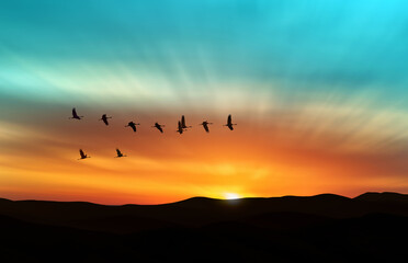Fototapeta na wymiar Amazing sky on sunset or sunrise with flying birds