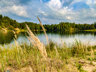 Summer. Sunny. A forest lake among a pine forest.