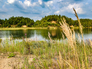 Summer. Sunny. A forest lake among a pine forest.