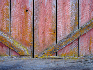 Detail of lichen covered wood door of an old barn