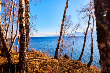 Beautiful natural view of the landscape with the shore with yellow grass, lake, and blue sky with white clouds on a sunny autumn day