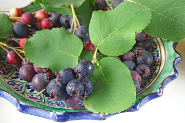 Irgi berries on twigs with leaves on a plate