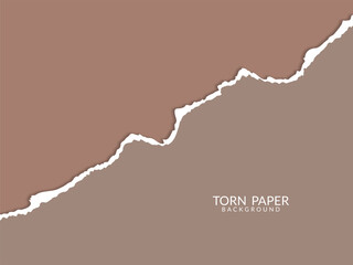 Torn paper edge simple background