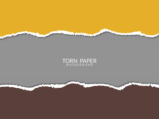 Modern Torn paper style ripped sheet background