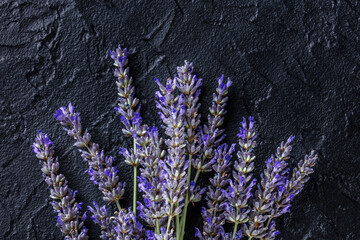 Lavender flowers in bloom, lavandula plants, overhead shot on a black background
