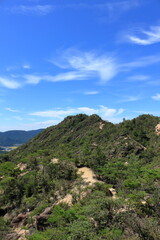 堂山山頂付近の風景
