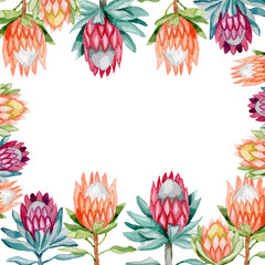Elegant square floral frame protea watercolor by hand background