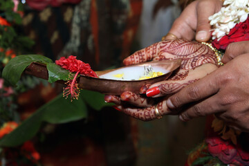 Hindu Puja or marriage ceremony preparation with betel leaves,nuts, fruits, flowers etc. Background image for Indian culture, tradition, rituals.