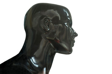 Mannequin bust profile. Isolated