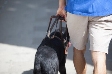 Young blind man walking with black dog guide