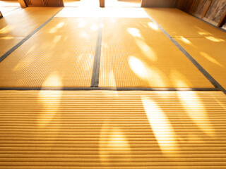 畳にのびる秋の日差し　