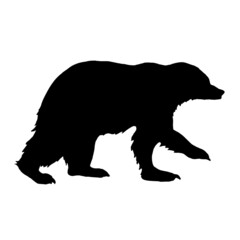 The silhouette of an animal bear on a white background.Vector illustration.