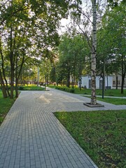 park in the city