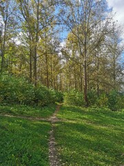 footpath in the park
