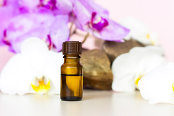 A brown bottle of cosmetic oil stands on a large structural stone with beautiful orchids next to it. Stylish appearance of the product, layout, personality.
