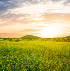 green prairie with hills at the sunset