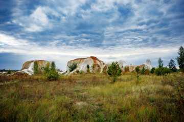 landscape with horses