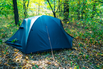 touristic tent in red autumn forest, natural travel background