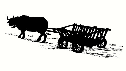 Empty cart drawn by oxen. Vector drawing - obrazy, fototapety, plakaty