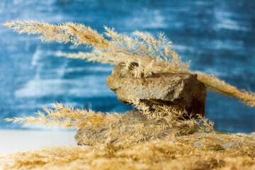 A stylish background for advertising products with fluffy dry stems and stones. Stylish appearance, layout, personality. Banner, a place for the text.