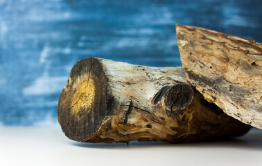 dry stump and tree bark on a colored background. Stylish appearance, layout, personality. Banner, a place for the text.