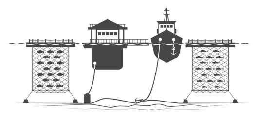 Seafood farming illustration
