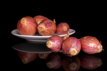 Group of seven whole shallot on white ceramic plate on black glass
