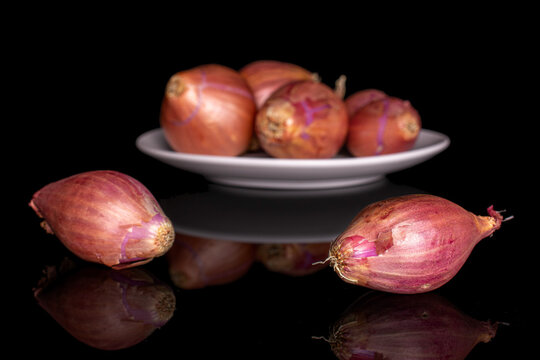 Group of six whole shallot on white ceramic plate on black glass
