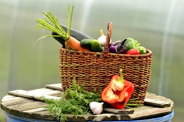 Vegetable autumn still life (harvest)