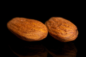 Group of two whole almond on black glass