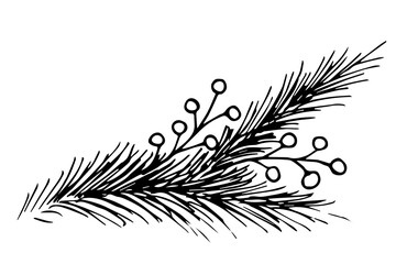 Hand-drawn simple vector drawing in black outline. Pine, spruce branch, berries. For the festive New Year, Christmas design, postcards, labels.
