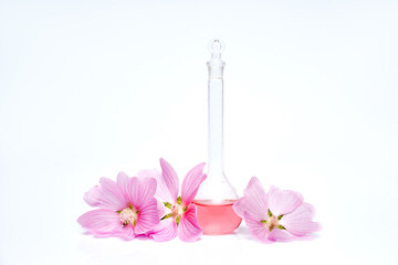 Bottle flask extract of natural cosmetics flower petals. Natural organic product from plants and flowers, herbal tube cosmetics for skin care. Nature beauty science medicine laboratory test