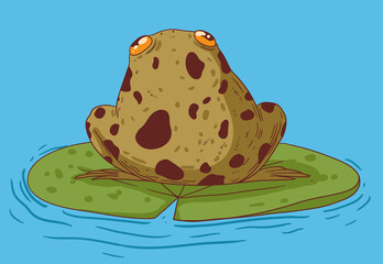 A small frog sits on a water lily leaf on a lake in a wild forest