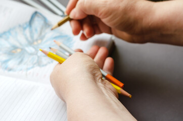 A woman draws a cat in colored pencils on the pages of an open diary. Blue hand-drawn pet on gray background. Active pastime, leisure time at home. Selective Focus.
