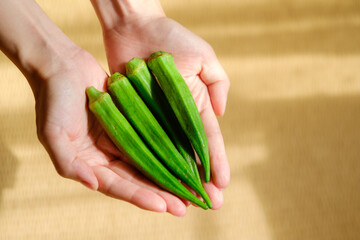 オクラを持つ女性の手元　新鮮野菜