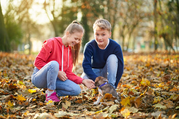 Brother and sister playing with pretty little dog in park autumn. Concept of walking with pet on weekend.
