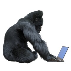 Gorilla with laptop concept 3d illustration isolated on white