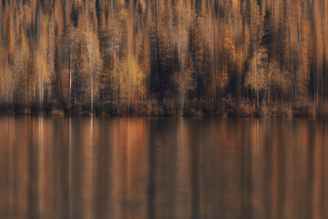 blurred background autumn nature landscape, abstract blur bokeh view of fall trees