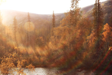 abstract landscape background autumn sun glare defocus bokeh, view sun background
