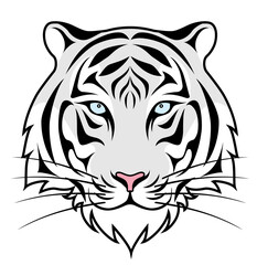 ホワイトタイガー　顔　白背景