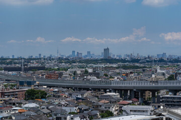 view of Tokyo from hill
