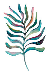 Watercolor tropical leaf, palm leaf with watercolor texture, hand illustration, clip art leaves.