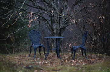 A sprawling fairy-tale creepy oak with bare branches spread over a garden table and chairs, autumn...