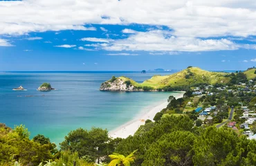 Foto op Plexiglas Hahei Beach at Coromandel Peninsula on New Zealand © Fyle