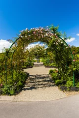 Foto op Plexiglas Arch with red roses in the garden © Fyle