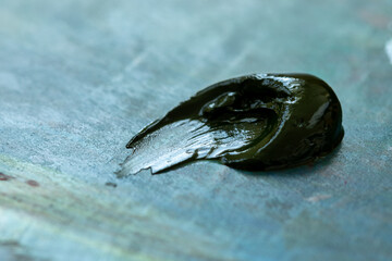 Green oil paint on a palette. Extruded green paint on a professional multicolor palette. Stroke with oil paint.